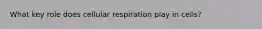 What key role does cellular respiration play in cells?