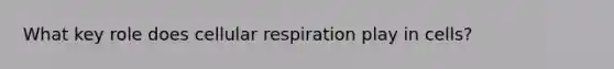 What key role does <a href='https://www.questionai.com/knowledge/k1IqNYBAJw-cellular-respiration' class='anchor-knowledge'>cellular respiration</a> play in cells?