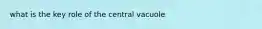 what is the key role of the central vacuole