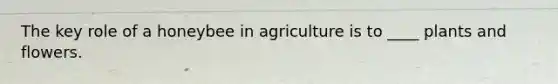 The key role of a honeybee in agriculture is to ____ plants and flowers.