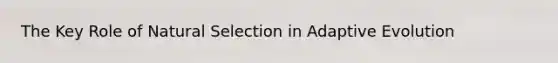 The Key Role of Natural Selection in Adaptive Evolution