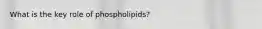 What is the key role of phospholipids?