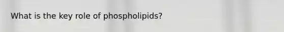 What is the key role of phospholipids?