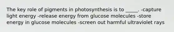 The key role of pigments in photosynthesis is to _____. -capture light energy -release energy from glucose molecules -store energy in glucose molecules -screen out harmful ultraviolet rays