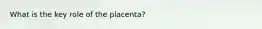 What is the key role of the placenta?