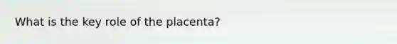 What is the key role of the placenta?