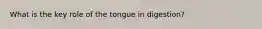 What is the key role of the tongue in digestion?
