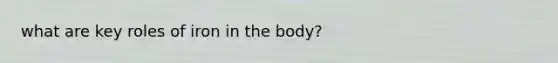 what are key roles of iron in the body?