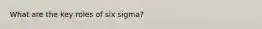 What are the key roles of six sigma?