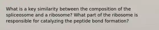 What is a key similarity between the composition of the spliceosome and a ribosome? What part of the ribosome is responsible for catalyzing the peptide bond formation?