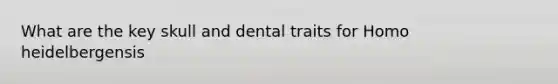 What are the key skull and dental traits for Homo heidelbergensis