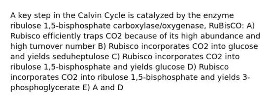 A key step in the Calvin Cycle is catalyzed by the enzyme ribulose 1,5-bisphosphate carboxylase/oxygenase, RuBisCO: A) Rubisco efficiently traps CO2 because of its high abundance and high turnover number B) Rubisco incorporates CO2 into glucose and yields seduheptulose C) Rubisco incorporates CO2 into ribulose 1,5-bisphosphate and yields glucose D) Rubisco incorporates CO2 into ribulose 1,5-bisphosphate and yields 3-phosphoglycerate E) A and D