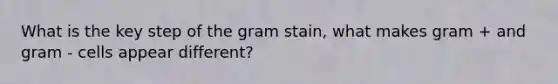 What is the key step of the gram stain, what makes gram + and gram - cells appear different?