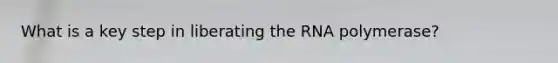 What is a key step in liberating the RNA polymerase?
