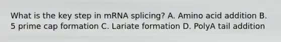 What is the key step in mRNA splicing? A. Amino acid addition B. 5 prime cap formation C. Lariate formation D. PolyA tail addition