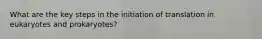 What are the key steps in the initiation of translation in eukaryotes and prokaryotes?