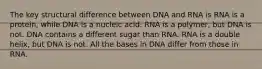 The key structural difference between DNA and RNA is RNA is a protein, while DNA is a nucleic acid. RNA is a polymer, but DNA is not. DNA contains a different sugar than RNA. RNA is a double helix, but DNA is not. All the bases in DNA differ from those in RNA.