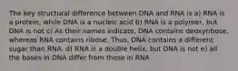 The key structural difference between DNA and RNA is a) RNA is a protein, while DNA is a nucleic acid b) RNA is a polymer, but DNA is not c) As their names indicate, DNA contains deoxyribose, whereas RNA contains ribose. Thus, DNA contains a different sugar than RNA. d) RNA is a double helix, but DNA is not e) all the bases in DNA differ from those in RNA