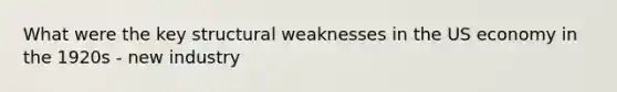 What were the key structural weaknesses in the US economy in the 1920s - new industry