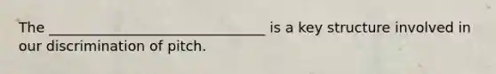 The _______________________________ is a key structure involved in our discrimination of pitch.