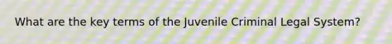 What are the key terms of the Juvenile Criminal Legal System?