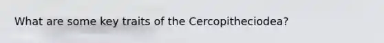 What are some key traits of the Cercopitheciodea?