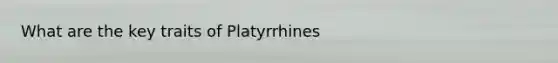 What are the key traits of Platyrrhines