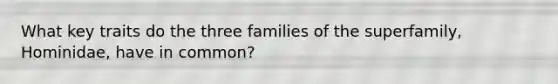 What key traits do the three families of the superfamily, Hominidae, have in common?