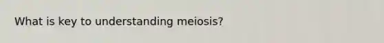 What is key to understanding meiosis?