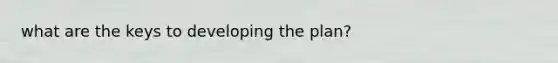 what are the keys to developing the plan?