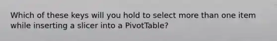 Which of these keys will you hold to select more than one item while inserting a slicer into a PivotTable?