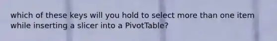 which of these keys will you hold to select more than one item while inserting a slicer into a PivotTable?