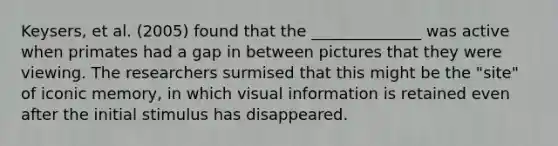 Keysers, et al. (2005) found that the ______________ was active when primates had a gap in between pictures that they were viewing. The researchers surmised that this might be the "site" of iconic memory, in which visual information is retained even after the initial stimulus has disappeared.