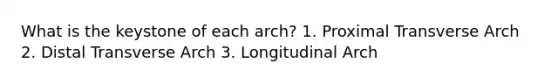 What is the keystone of each arch? 1. Proximal Transverse Arch 2. Distal Transverse Arch 3. Longitudinal Arch