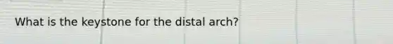 What is the keystone for the distal arch?