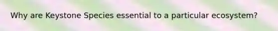 Why are Keystone Species essential to a particular ecosystem?