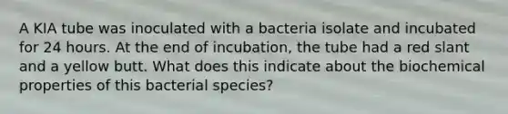 A KIA tube was inoculated with a bacteria isolate and incubated for 24 hours. At the end of incubation, the tube had a red slant and a yellow butt. What does this indicate about the biochemical properties of this bacterial species?