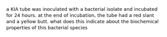 a KIA tube was inoculated with a bacterial isolate and incubated for 24 hours. at the end of incubation, the tube had a red slant and a yellow butt. what does this indicate about the biochemical properties of this bacterial species