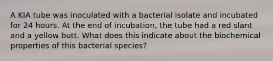 A KIA tube was inoculated with a bacterial isolate and incubated for 24 hours. At the end of incubation, the tube had a red slant and a yellow butt. What does this indicate about the biochemical properties of this bacterial species?