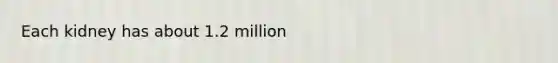 Each kidney has about 1.2 million