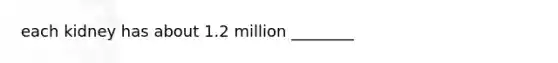 each kidney has about 1.2 million ________