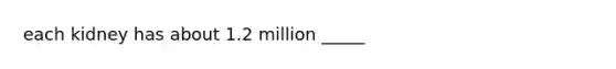 each kidney has about 1.2 million _____