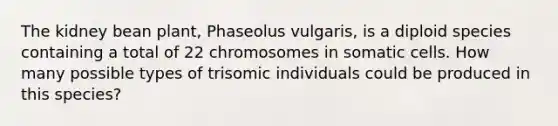 The kidney bean plant, Phaseolus vulgaris, is a diploid species containing a total of 22 chromosomes in somatic cells. How many possible types of trisomic individuals could be produced in this species?