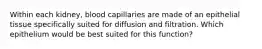 Within each kidney, blood capillaries are made of an epithelial tissue specifically suited for diffusion and filtration. Which epithelium would be best suited for this function?