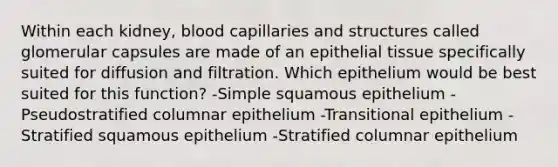 Within each kidney, blood capillaries and structures called glomerular capsules are made of an <a href='https://www.questionai.com/knowledge/k7dms5lrVY-epithelial-tissue' class='anchor-knowledge'>epithelial tissue</a> specifically suited for diffusion and filtration. Which epithelium would be best suited for this function? -Simple squamous epithelium -Pseudostratified columnar epithelium -Transitional epithelium -Stratified squamous epithelium -Stratified columnar epithelium