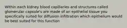 Within each kidney blood capillaries and structures called glomerular capsule's are made of an epithelial tissue you specifically suited for diffusion infiltration which epithelium would be best suited for this function