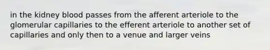 in the kidney blood passes from the afferent arteriole to the glomerular capillaries to the efferent arteriole to another set of capillaries and only then to a venue and larger veins