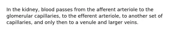 In the kidney, blood passes from the afferent arteriole to the glomerular capillaries, to the efferent arteriole, to another set of capillaries, and only then to a venule and larger veins.