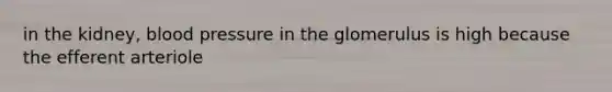 in the kidney, <a href='https://www.questionai.com/knowledge/kD0HacyPBr-blood-pressure' class='anchor-knowledge'>blood pressure</a> in the glomerulus is high because the efferent arteriole