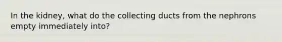 In the kidney, what do the collecting ducts from the nephrons empty immediately into?